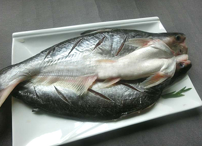 巴沙魚(yú)進(jìn)口外貿(mào)代理