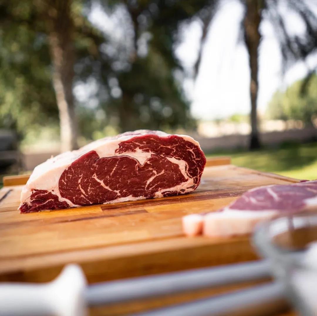 進口外貿(mào)代理