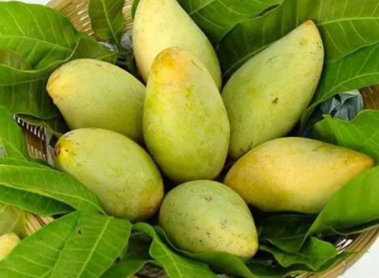 進(jìn)口外貿(mào)代理