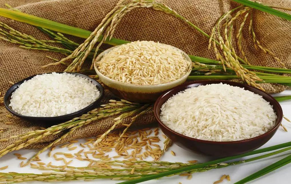 進(jìn)口外貿(mào)代理