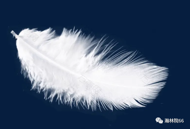 進(jìn)口外貿(mào)代理