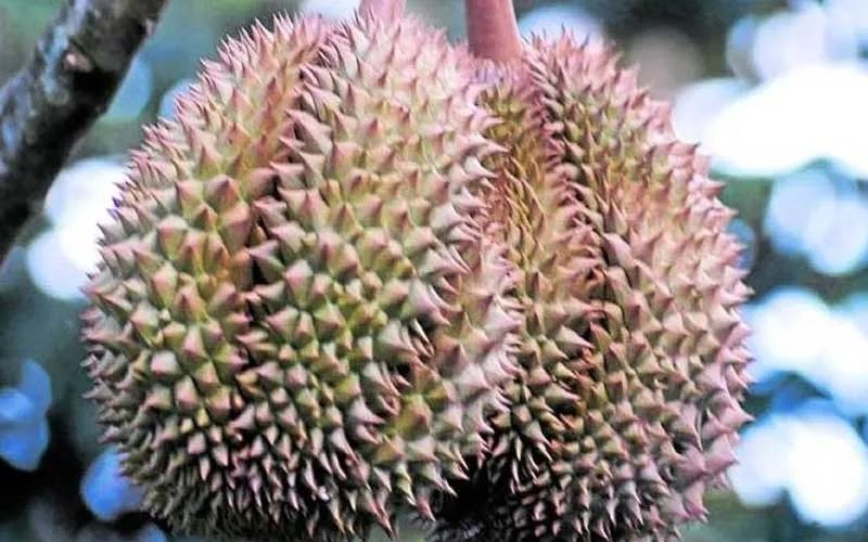 進(jìn)口外貿(mào)代理