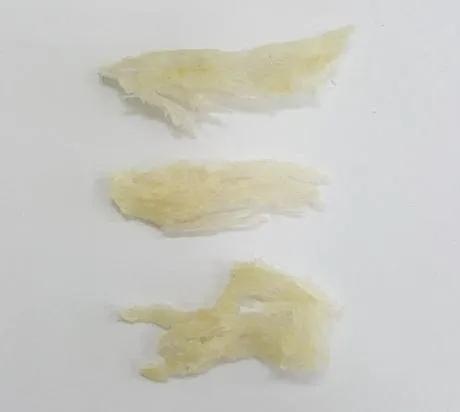 進口外貿(mào)代理