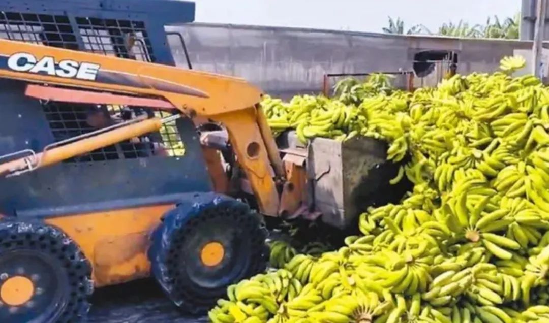 進口外貿(mào)代理