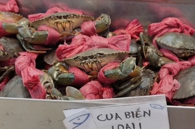 進(jìn)口外貿(mào)代理