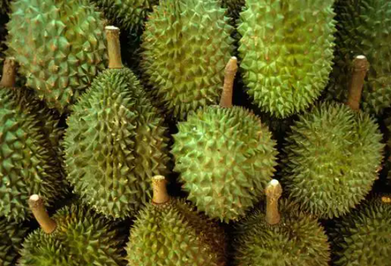 進(jìn)口外貿(mào)代理