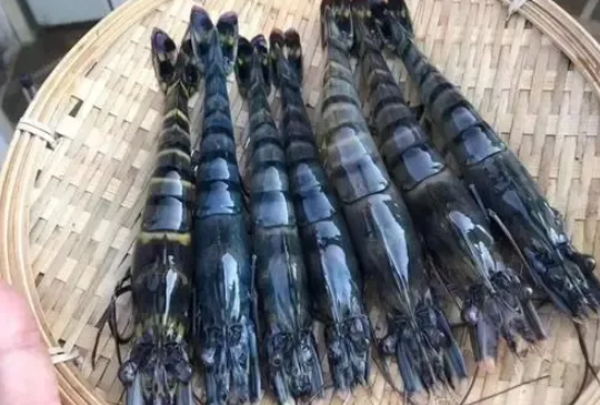 進(jìn)口外貿(mào)代理