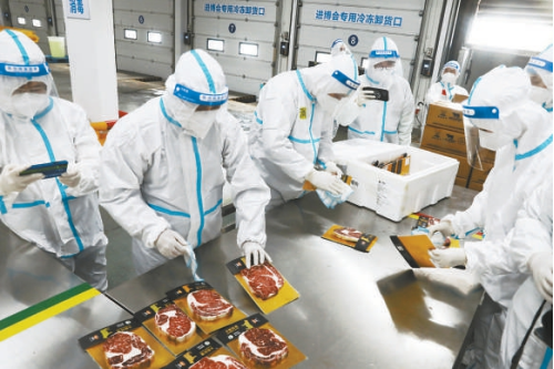 進口外貿(mào)代理