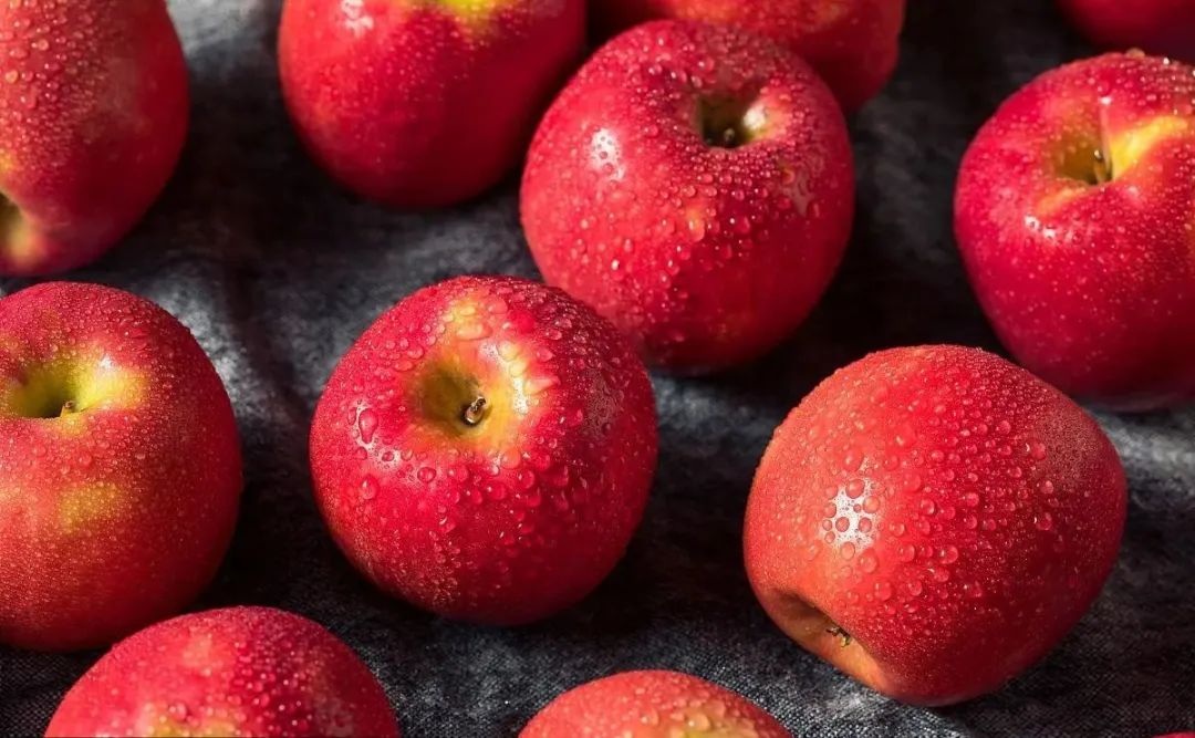 進(jìn)口外貿(mào)代理