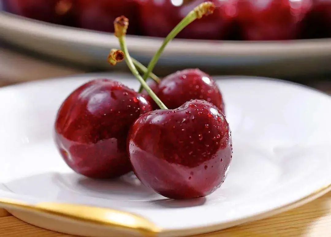 進(jìn)口外貿(mào)代理