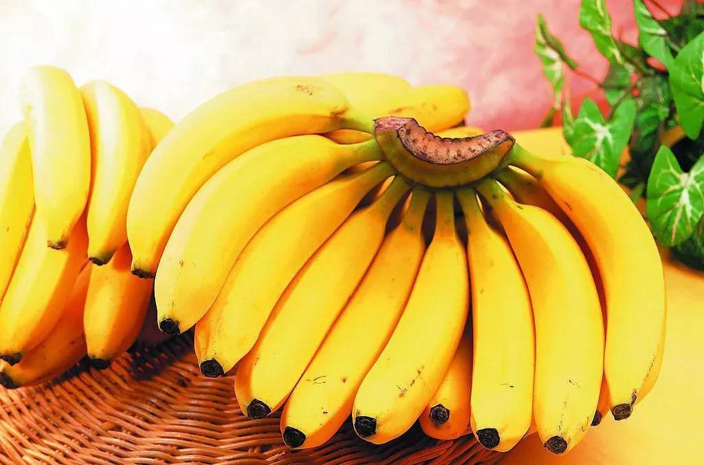 進口外貿(mào)代理