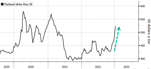 進口外貿(mào)代理