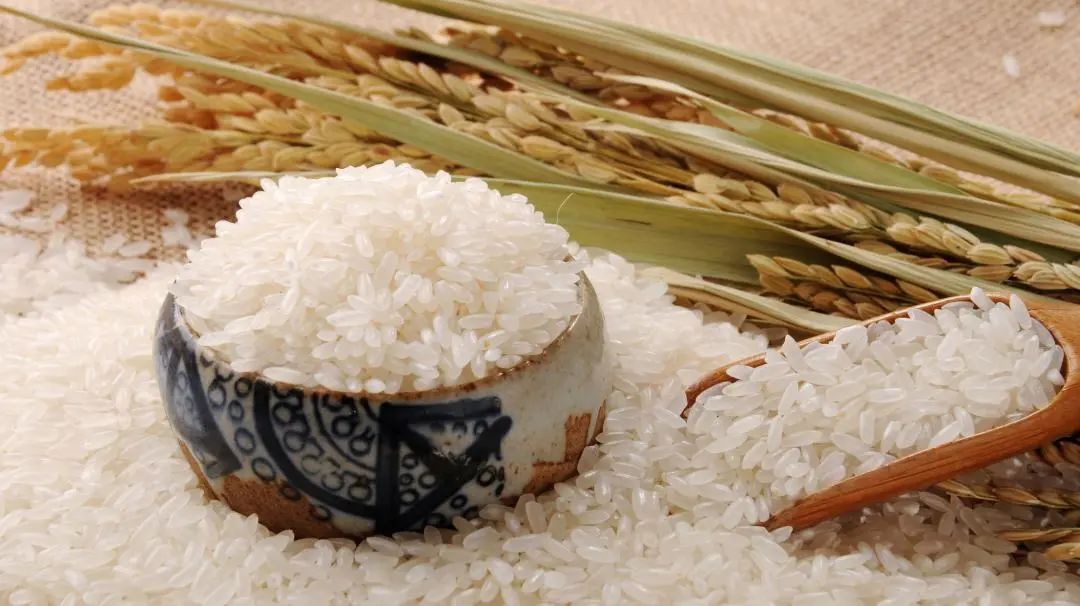 進(jìn)口外貿(mào)代理