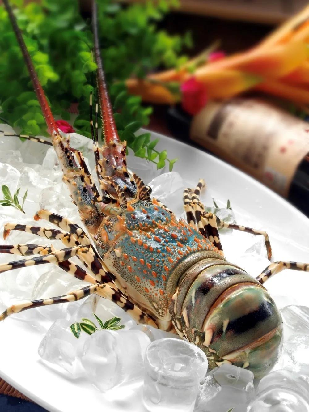 進(jìn)口外貿(mào)代理