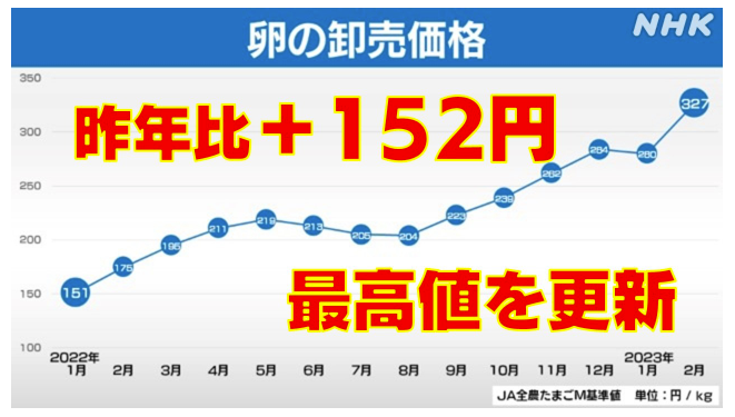 進(jìn)口外貿(mào)代理