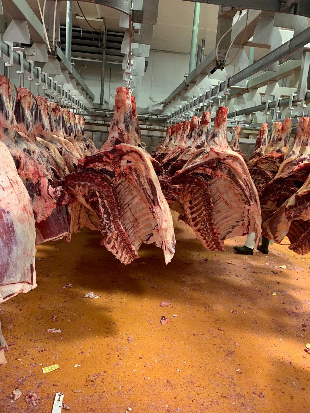 進口外貿(mào)代理