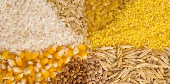 進(jìn)口外貿(mào)代理