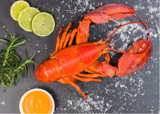 進口外貿(mào)代理