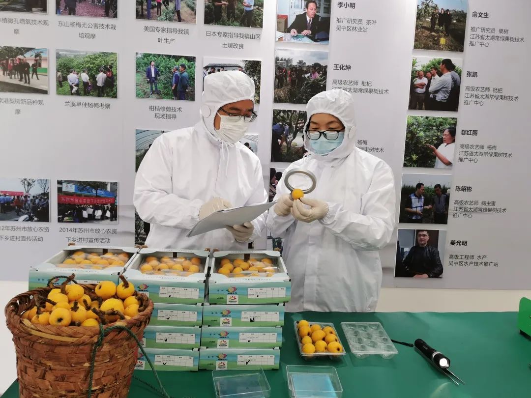 出口外貿(mào)代理