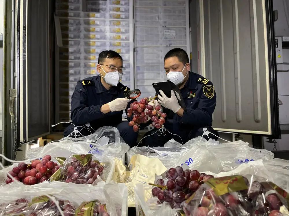 出口外貿(mào)代理 