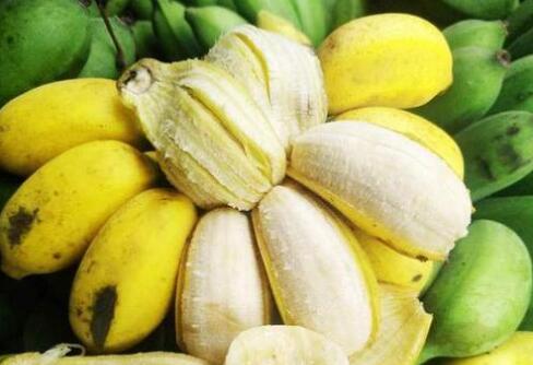 進口外貿(mào)代理