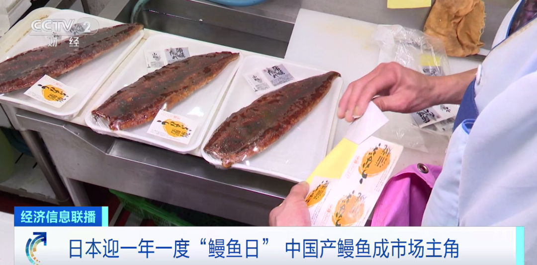 出口外貿(mào)代理