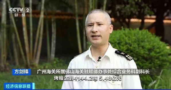 出口外貿(mào)代理