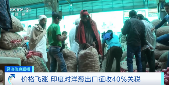 進(jìn)口外貿(mào)代理