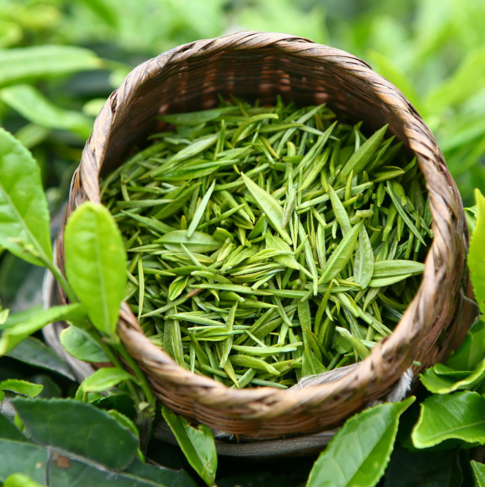 進(jìn)口外貿(mào)代理