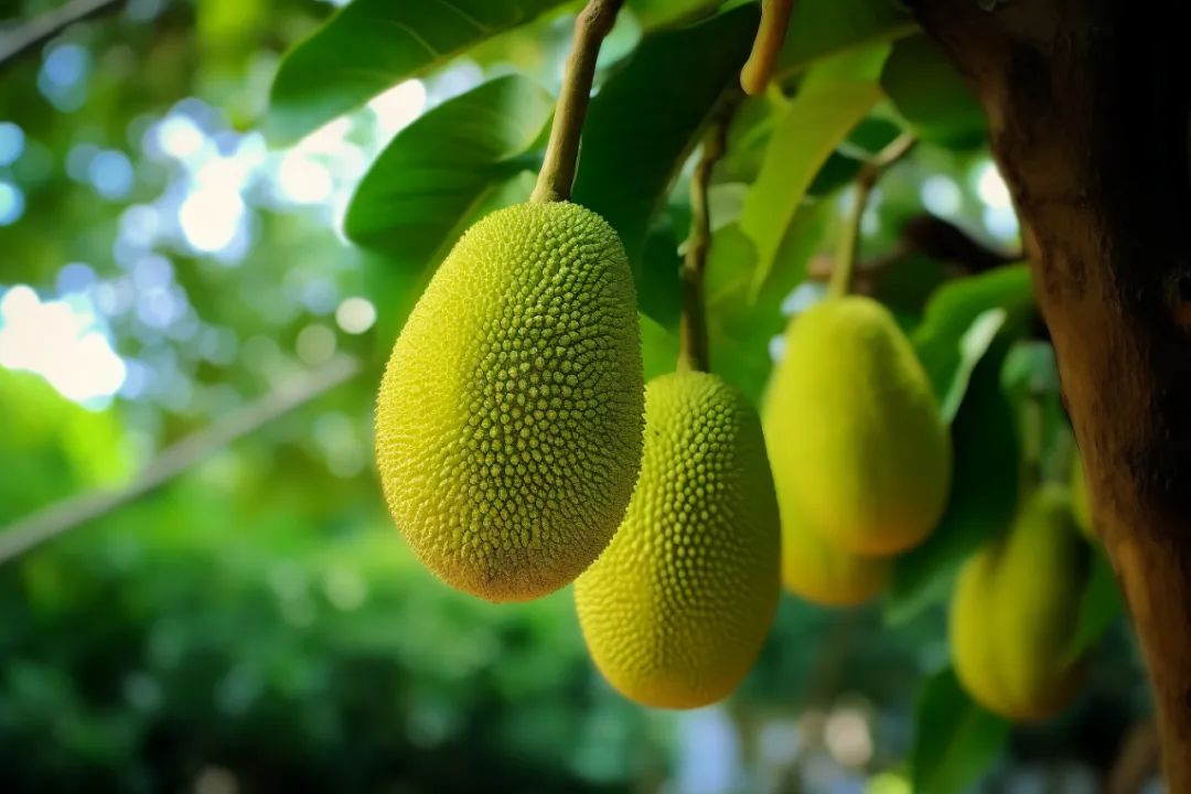 進口外貿(mào)代理