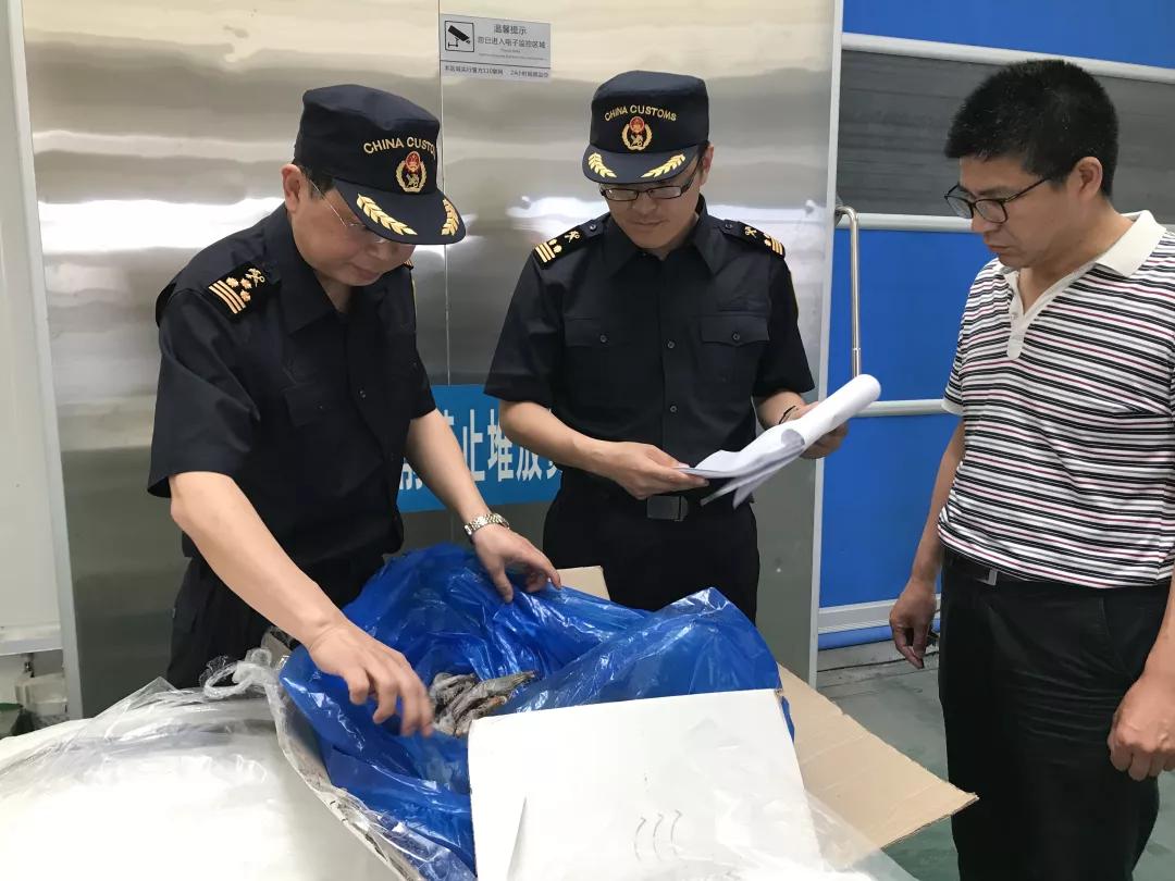 進(jìn)口外貿(mào)代理