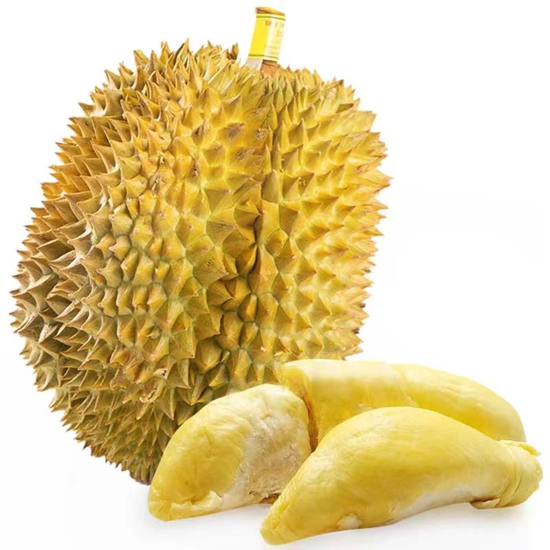 微信圖片_20240805104125