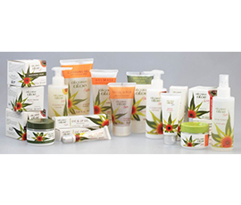 南非天然蘆薈膏